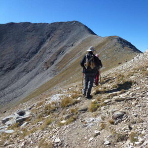 woocomerce olla del Ter