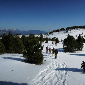 Pla de la Feixa i Estany de Malniu