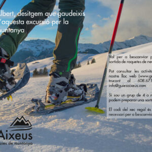 xec raquetes