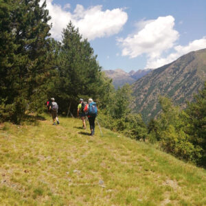 magia pallars woocomerce