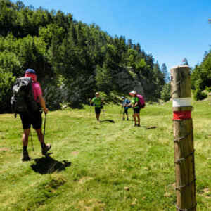 golondrinas-woocomerce